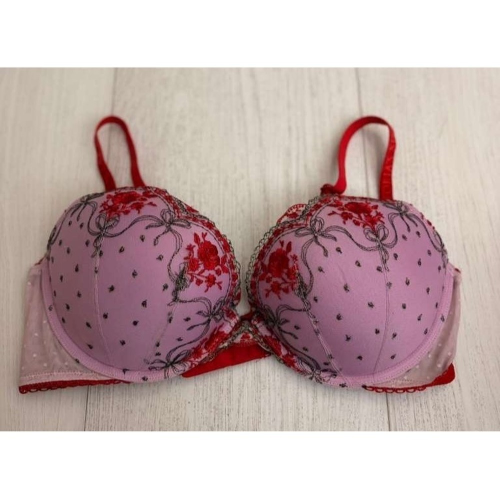 Victoria's Secret Push-up Bra Sz 36C Embroidered Pink Red Roses Metallic